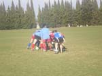 DSCN0561