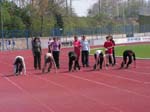 Vitesse Filles